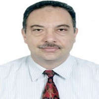 Ashraf Fathi Hefny
